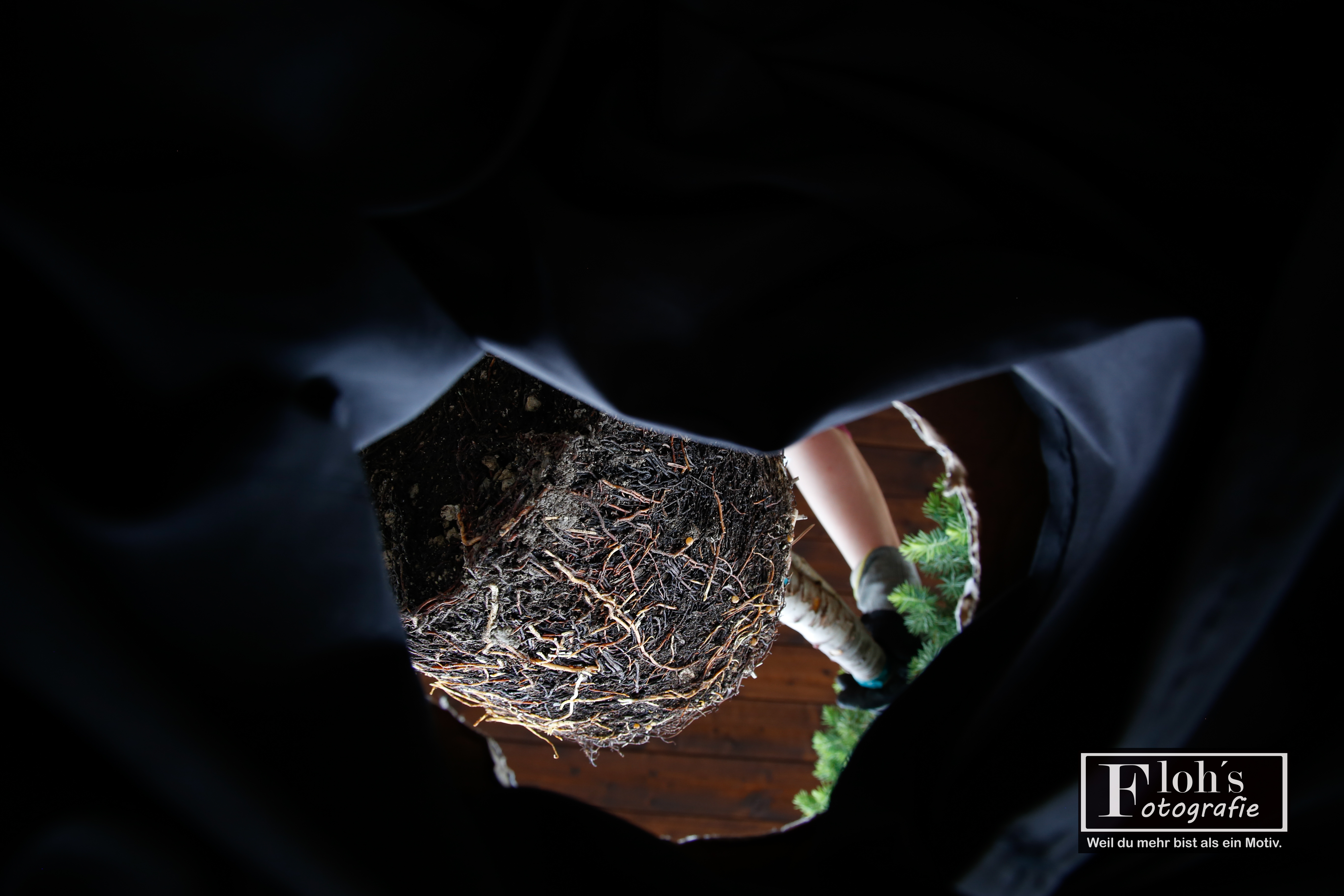 Aus anderer Perspektive – Blick in den Blumentopf beim Wiener Fotomarathon 2025